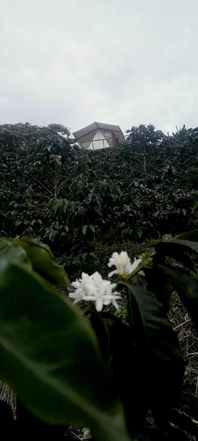 Glamping Orosierra Hotel Chinchina ภายนอก รูปภาพ